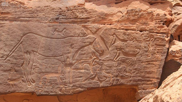 چٹانوں پر کندہ کاری، سعودیہ میں ہزاروں سال پرانے انسانی تہذیب کے ان منٹ نقوش