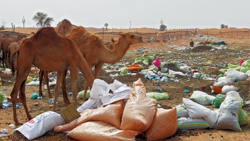 दुबई बहुत कुछ बचाने के लिए जल्द लगाएगा प्लास्टिक पर पाबन्दी