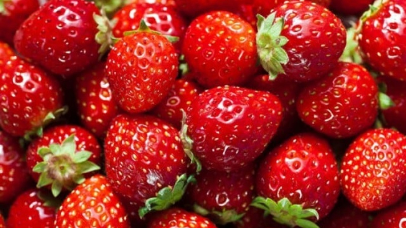 दिल की सेहत के लिए बड़ी ख़ास भूमिका निभाती है स्ट्रॉबेरी