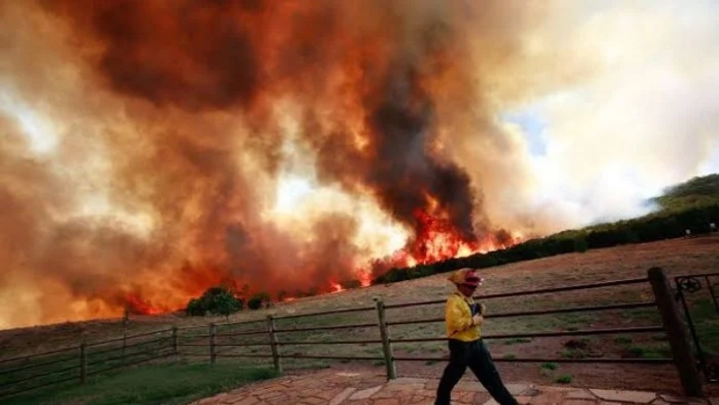 टेक्सास के डेयरी फार्म में लगी भीषण आग से 18 हजार मवेशियों की मौत