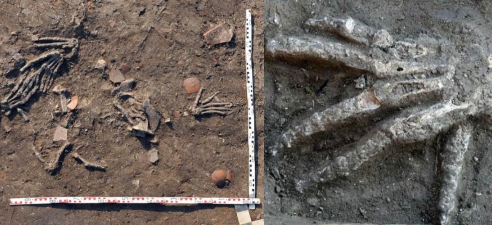 मिस्र में हजारों साल पहले काटे गए 12 हाथ बरामद