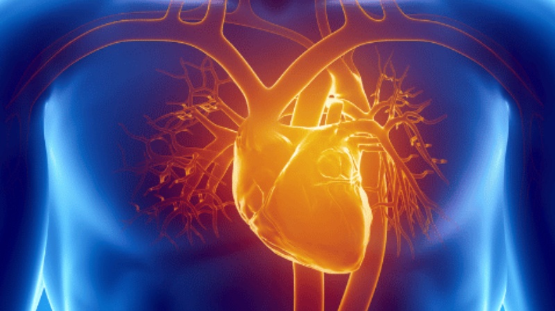 30 वर्षों में हृदय रोग से होने वाली मौतों में 60% की वृद्धि हुई