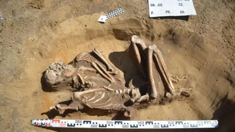 7,000 साल पुराना हड्डियों का सही सलामत ढांचा बरामद