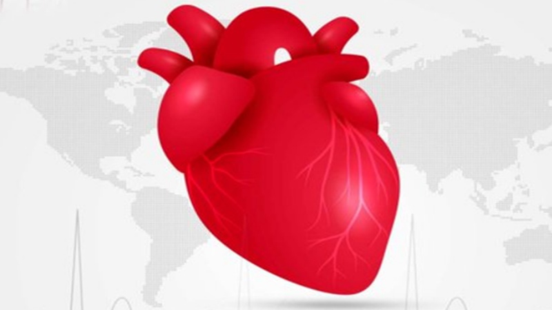 विश्व हृदय दिवस पर दिल को सेहतमंद रखने का वादा करें