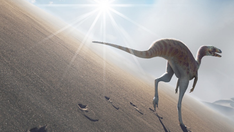 ब्राज़ील में पाए गए पैरों के निशान से डायनासोर की नई प्रजाति का पता चला