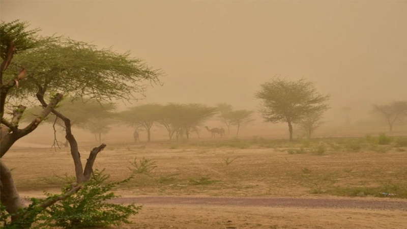 प्रदेश में धूल भरी आंधी और बारिश की चेतावनी के साथ येलो अलर्ट जारी