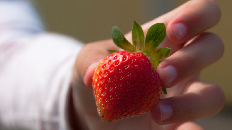 मानसिक स्वास्थ्य के लिए फायदेमंद होता है नियमित रूप से स्ट्रॉबेरी खाना