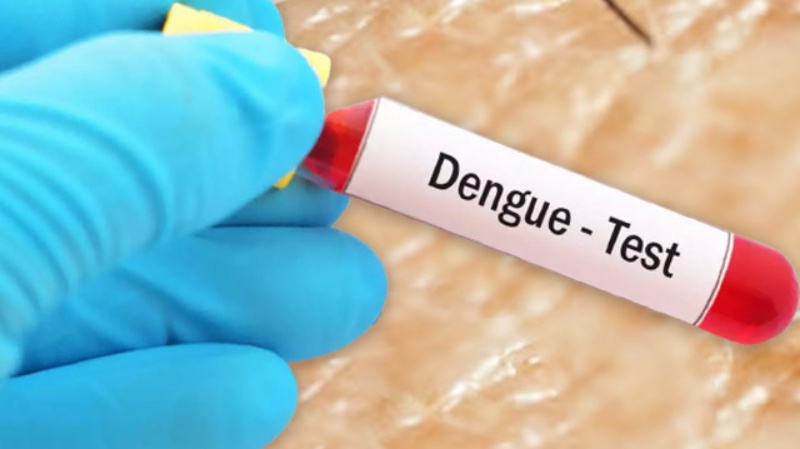 2023 में भारत डेंगू से सबसे अधिक मौतों वाले देशों में शामिल