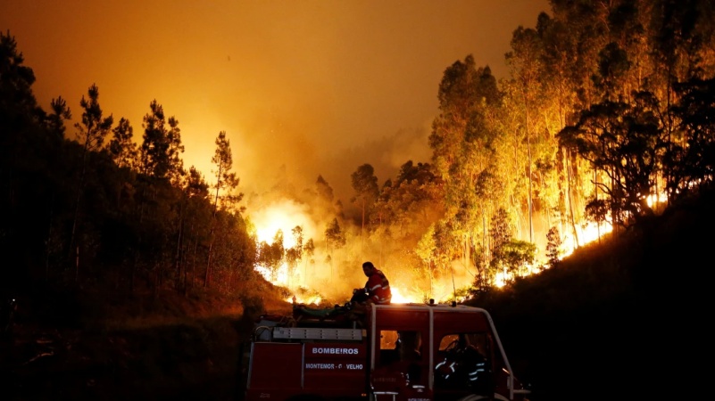 चिली के जंगलों में लगी आग से देश में इमरजेंसी का ऐलान