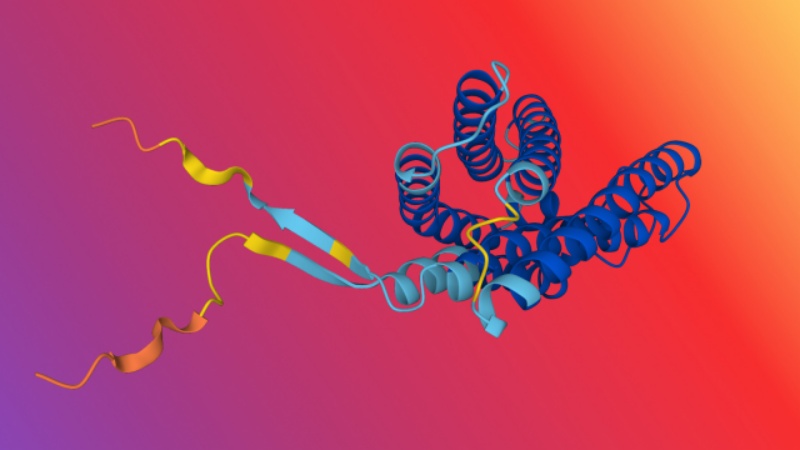 वैज्ञानिकों ने तलाशा डीएनए में बेचैनी पर काबू पाने वाला भाग