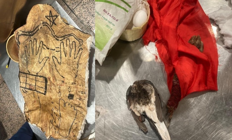 दुबई एयरपोर्ट पर मुसाफिर के पास मिला जीवित सांप, बंदर का हाथ, मृत पक्षी और ताबीज