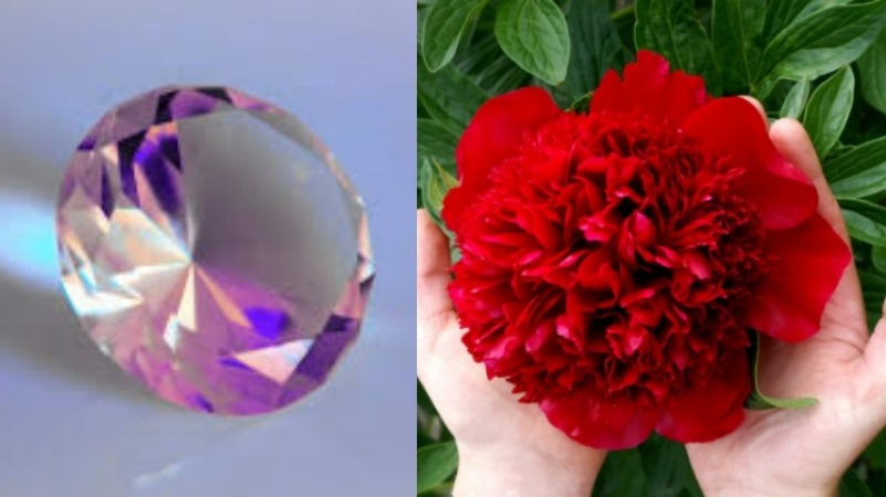फूलों की मदद से दुनिया का पहला हीरा बनाने में कामयाब हुए चीनी वैज्ञानिक