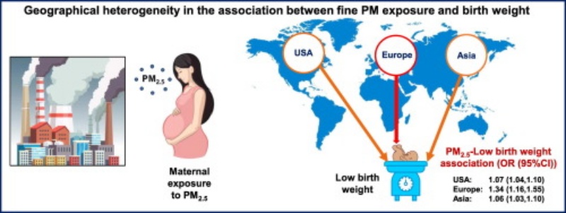 जन्म के समय कम वजन वाले शिशुओं और वायु प्रदूषण के बीच संबंध का खुलासा