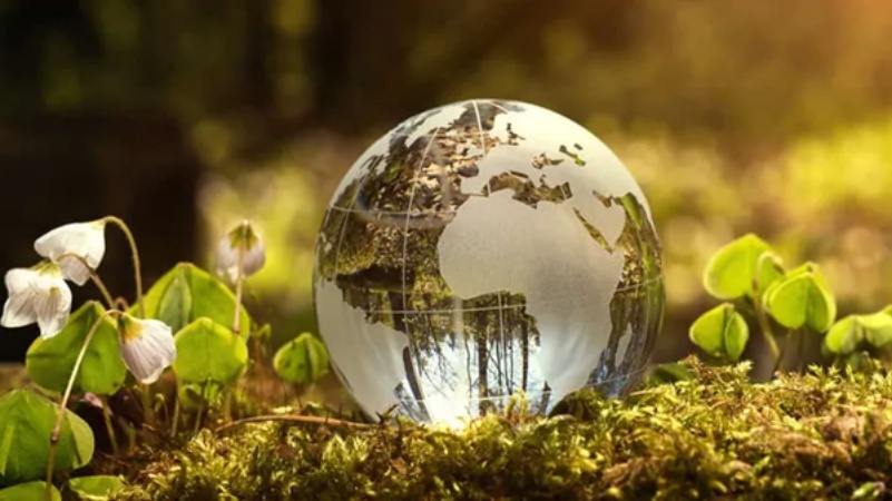 विश्व पर्यावरण दिवस-आने वाली पीढ़ियों के लिए एक बेहतर भविष्य का प्रयास