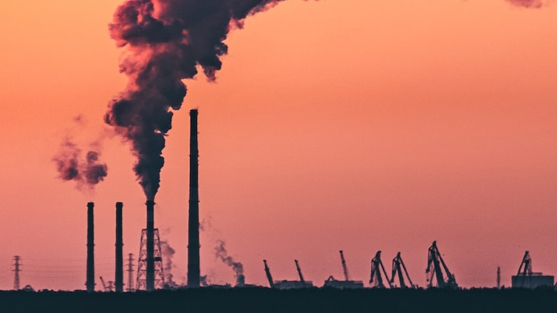 वायु प्रदूषण के कारण 40 साल में करोड़ों मौतों का खुलासा