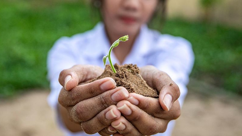 इस वर्ष जलवायु संकट से निपटने के लिए इन मुद्दों पर रहेगी नज़र