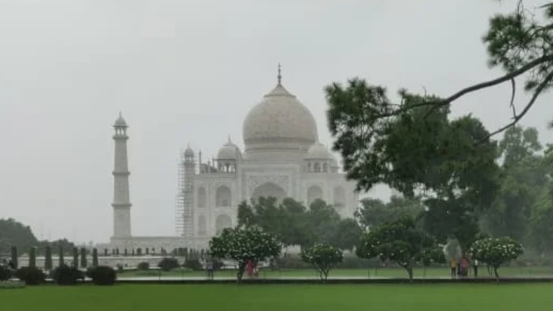 आगरा के ताज जोन में सैकड़ों पेड़ों की अवैध कटाई का आरटीआई में हुआ खुलासा