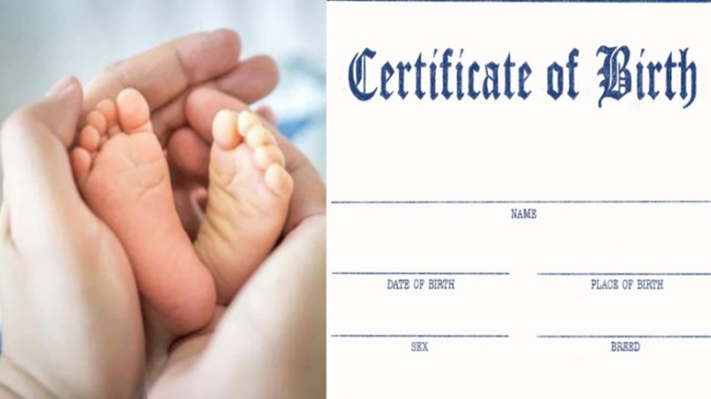 वैश्विक अर्थव्यवस्था को तीन गुना लाभ देता है लड़कियों की शिक्षा में किया गया निवेश- रिपोर्ट