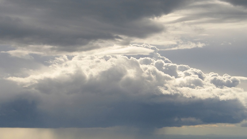 पूरे प्रदेश पर मेहरबान हुआ मानसून, आज तीस जिलों में भारी बारिश का अलर्ट