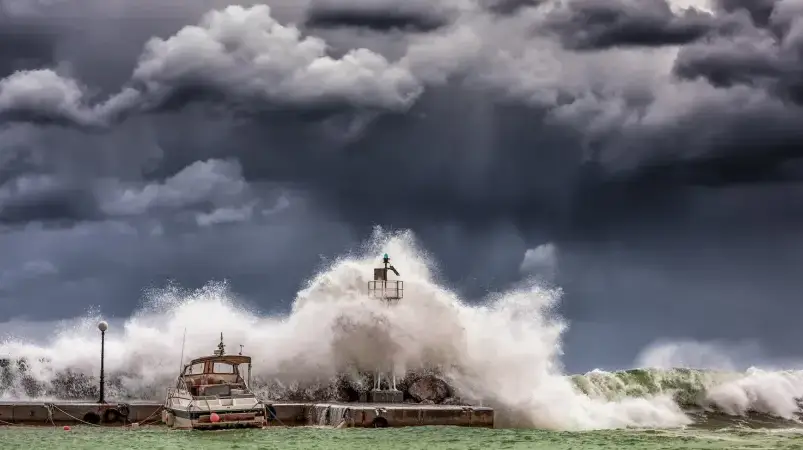 गाय की तुलना में बकरी का दूध मांसपेशियों को अधिक मज़बूत बनाता है