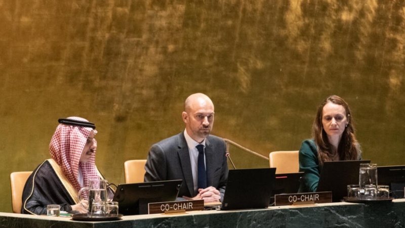 फिलिस्तीन मामले में दो-देश समाधान के लिए एक अंतर्राष्ट्रीय संगठनों ने एक बार फिर उठाई आवाज़