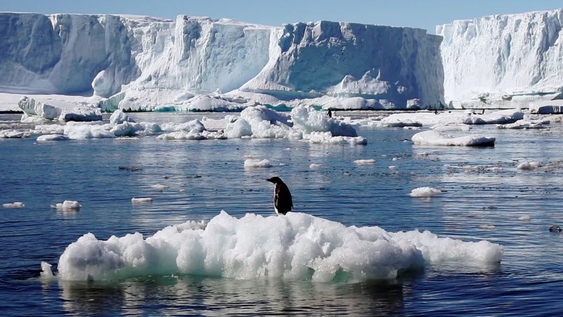 दास व्यापार- जो आज भी आधुनिक दासता के रूप में बरक़रार है