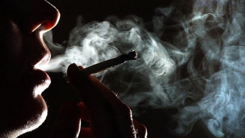 विश्व हाथी दिवस: विशाल होने के बावजूद इसे बचाने की ज़रूरत है