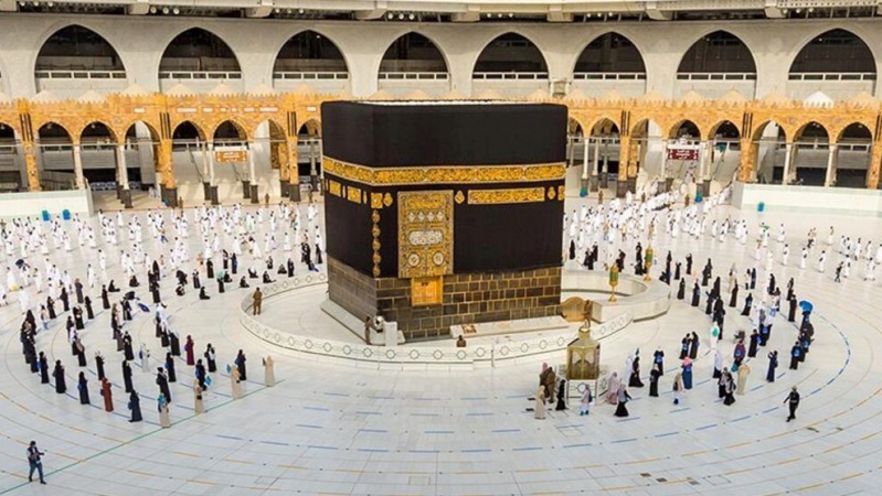 ऑस्ट्रेलिया  जंगलों में वैज्ञानिकों ने एक नए प्रकार का कीट की खोज निकाला