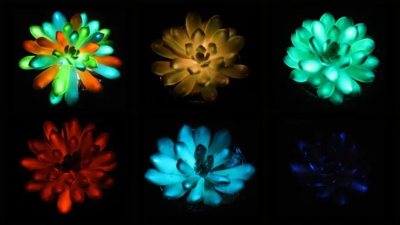 लखनऊ सहित इन जिलों को मिलाकर उत्तर प्रदेश स्टेट कैपिटल रीजन पेश करेगा विकास का नया मॉडल