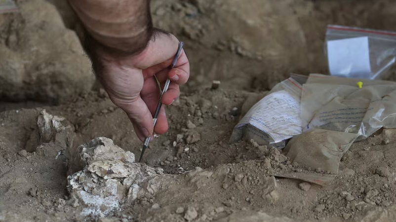 जॉर्जिया में मिली मानव जबड़े की हड्डी 18 लाख साल पुरानी है- पुरातत्वविद