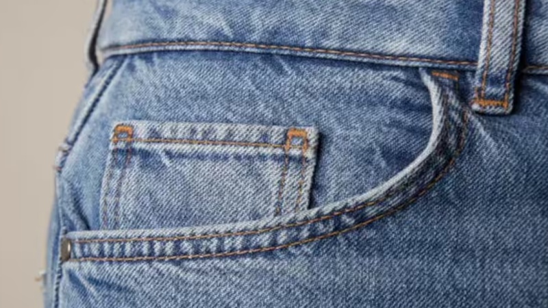 98वें ऑस्कर अवार्ड 2026 के लिए आधिकारिक तौर पर चुनी गई फिल्म होमबाउंड को दर्शकों और क्रिटिक ने भी सराहा