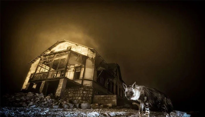 अमरीकी रक्षा मंत्री की नीति के विरोध में पत्रकारों ने खाली किया पेंटागन