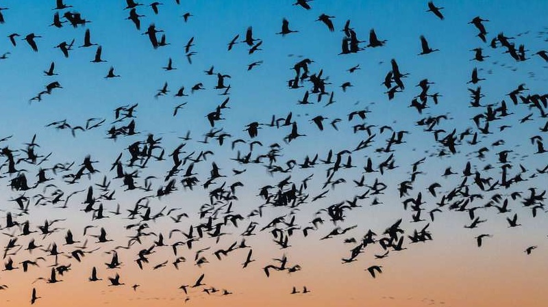 गरीबी मुक्त पर केरल पर राज्य और केंद्र सरकार के अलावा आदिवासियों में मतभेद