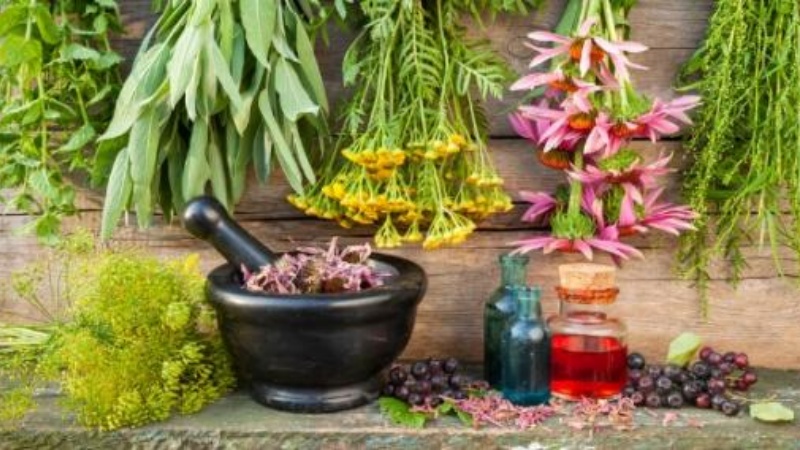 आज असत्य पर सत्य की जीत का दिन है