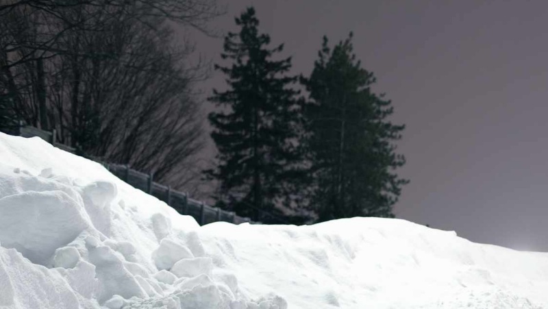 विशेषज्ञों का अनुमान है कि यह सर्दी कड़ाके की और लंबी होगी