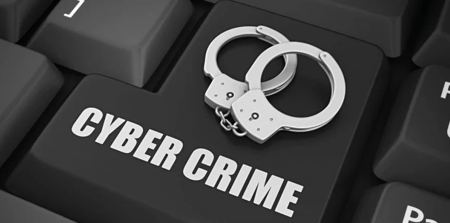 वैज्ञानिकों ने मकड़ी की एक नई प्रजाति की खोज की है