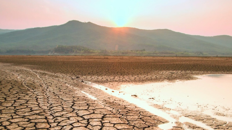 न्यूरोलॉजिकल समस्याओं से सालाना एक करोड़ से ज़्यादा मौतें