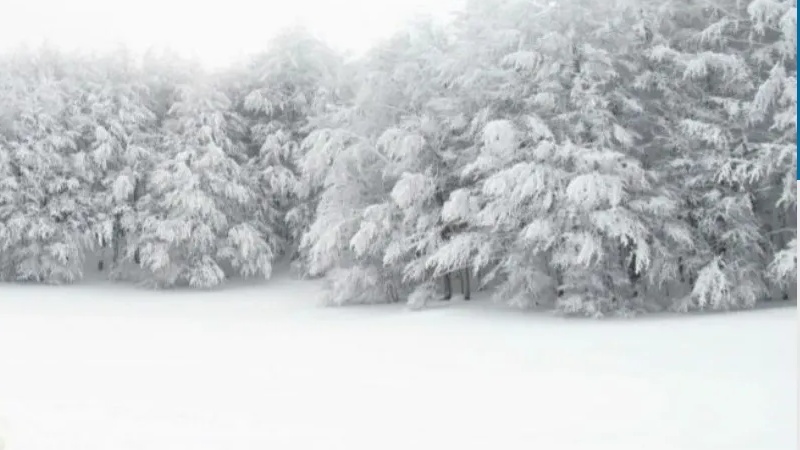 देश के उत्तरी हिस्सों में माइनस में पहुंचे पारे से पूर्व तक बढ़ी ठंड
