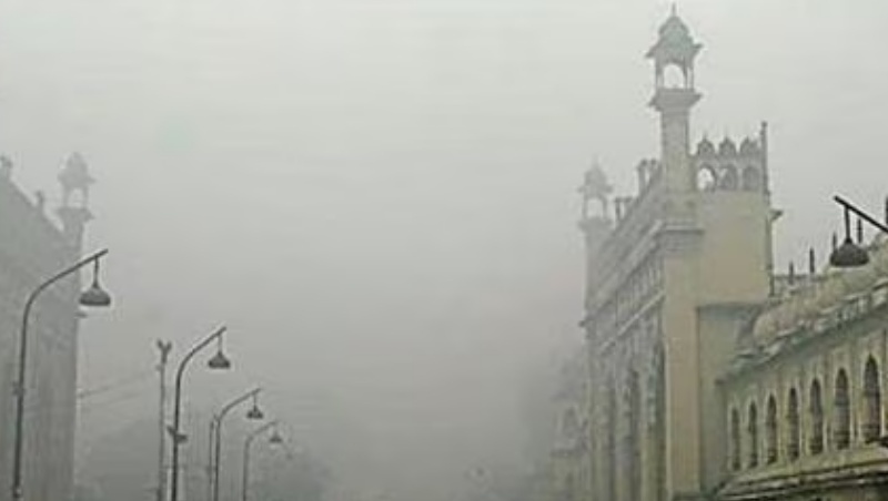 ज़ेबरा के शरीर पर मौजूद काली और सफेद धारियों का क्या मक़सद है