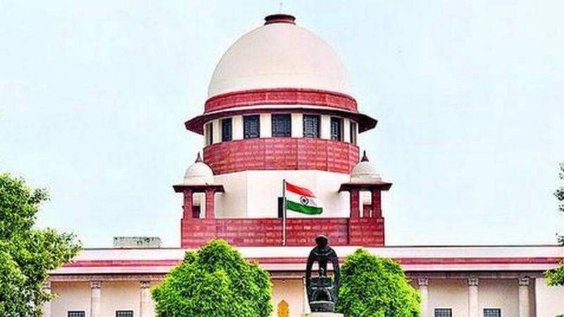 प्रेस्टन के कुत्तों के डीएनए टेस्ट के बाद ‘वुल्फ डॉग्स’ होने की पुष्टि हुई