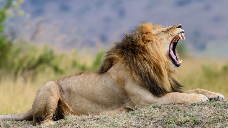 देश में तालाब संरक्षण मुहिम के लिए देव करन को मिला सम्मान