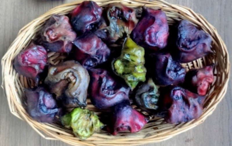 इंडिगो पायलट के खुले पत्र ने खोले एयरलाइन की अव्यवस्था के कई राज