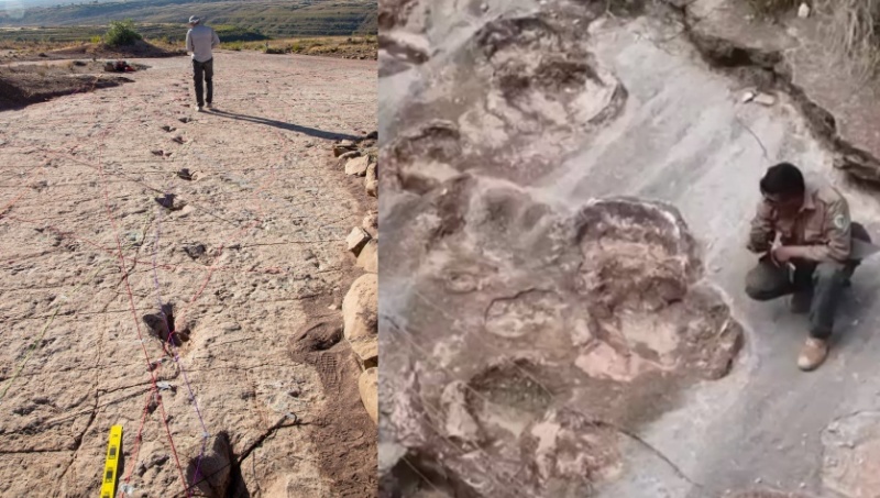 उत्तर प्रदेश सहित कई राज्यों में एसआईआर की तारीख बढ़ाई गई