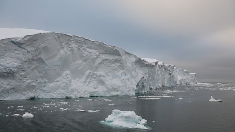 ऑस्ट्रेलिया में हुई गोलीबारी में आतंकवादी को पकड़ने में अहमद ने जान की बाज़ी लगा दी