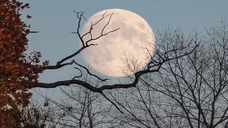 राजधानी लखनऊ सहित सूबे के अन्य शहरों में चरमराई ट्रैफिक व्यवस्था पर मुख्यमंत्री के सख्त निर्देश