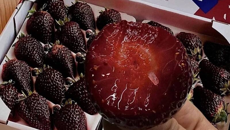 सुनीता विलियम्स ने स्पेस में देखे गए दो अद्भुत नज़ारों के बारे में बताया