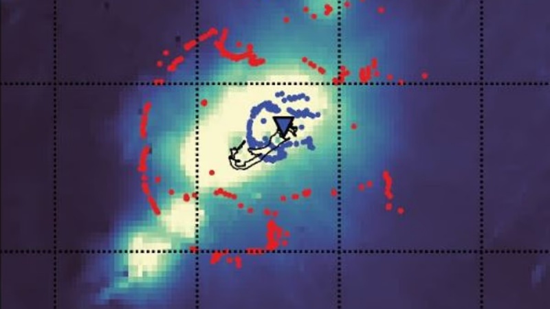 सर्दियों में शरीर को गर्म रखने और इम्यूनिटी बढ़ाने वाले फूड्स