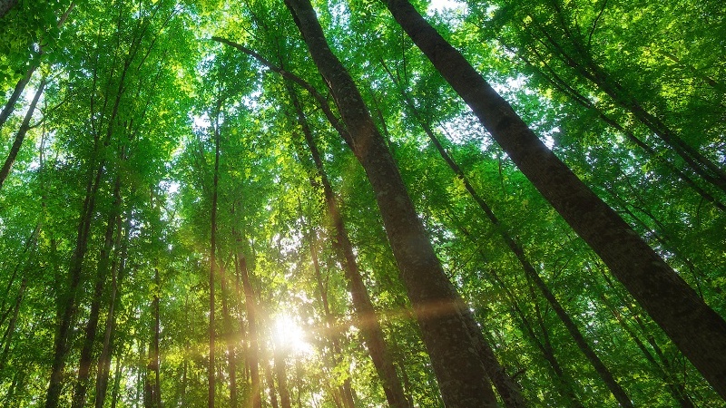 पर्यावरण के प्रति अपने व्यवहार में बड़े और ठोस बदलाव करने होंगे- रिपोर्ट