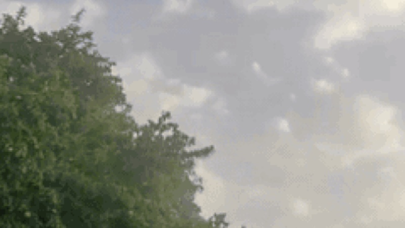 भारत-जर्मनी के बीच व्यापर अब तक के सबसे उच्चतम स्तर पर