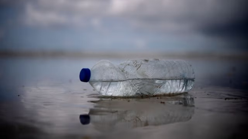 पैंक्रियास को नुकसान पहुंचाकर जानलेवा हो सकते हैं माइक्रोप्लास्टिक: स्टडी